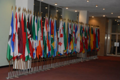 CM_VR_RANA_2007-163