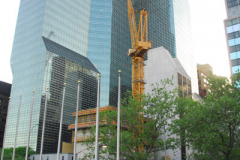 CM_VR_RANA_2007-374