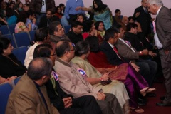 Holi_IMG_5289